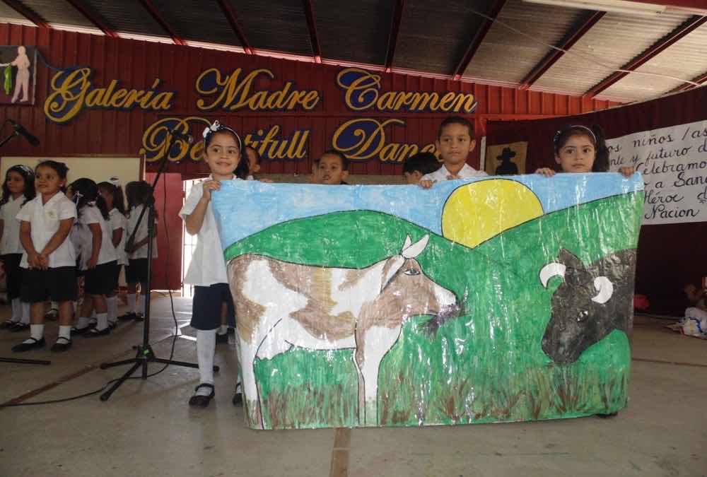 Festival de Preescolar Más Vida