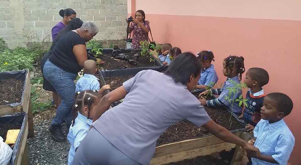 Educación ambiental: escuelas ecológicas